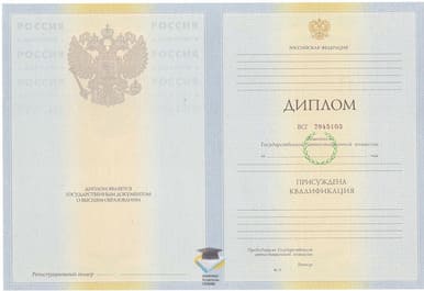 Диплом АОУ ВПО «ЛГУ им. А.С.Пушкина» 2010-2011 годов